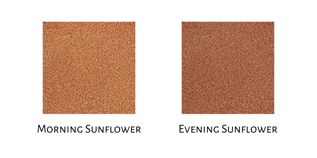 Shade chart showing the different shades of Colors of Love Cushion Bronzer