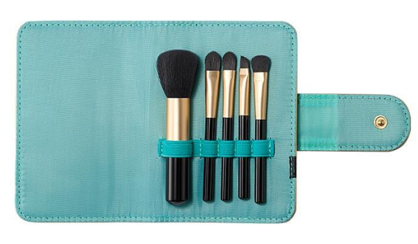 Open case with turquoise lining, showing 5 different sized makeup brushes inside
